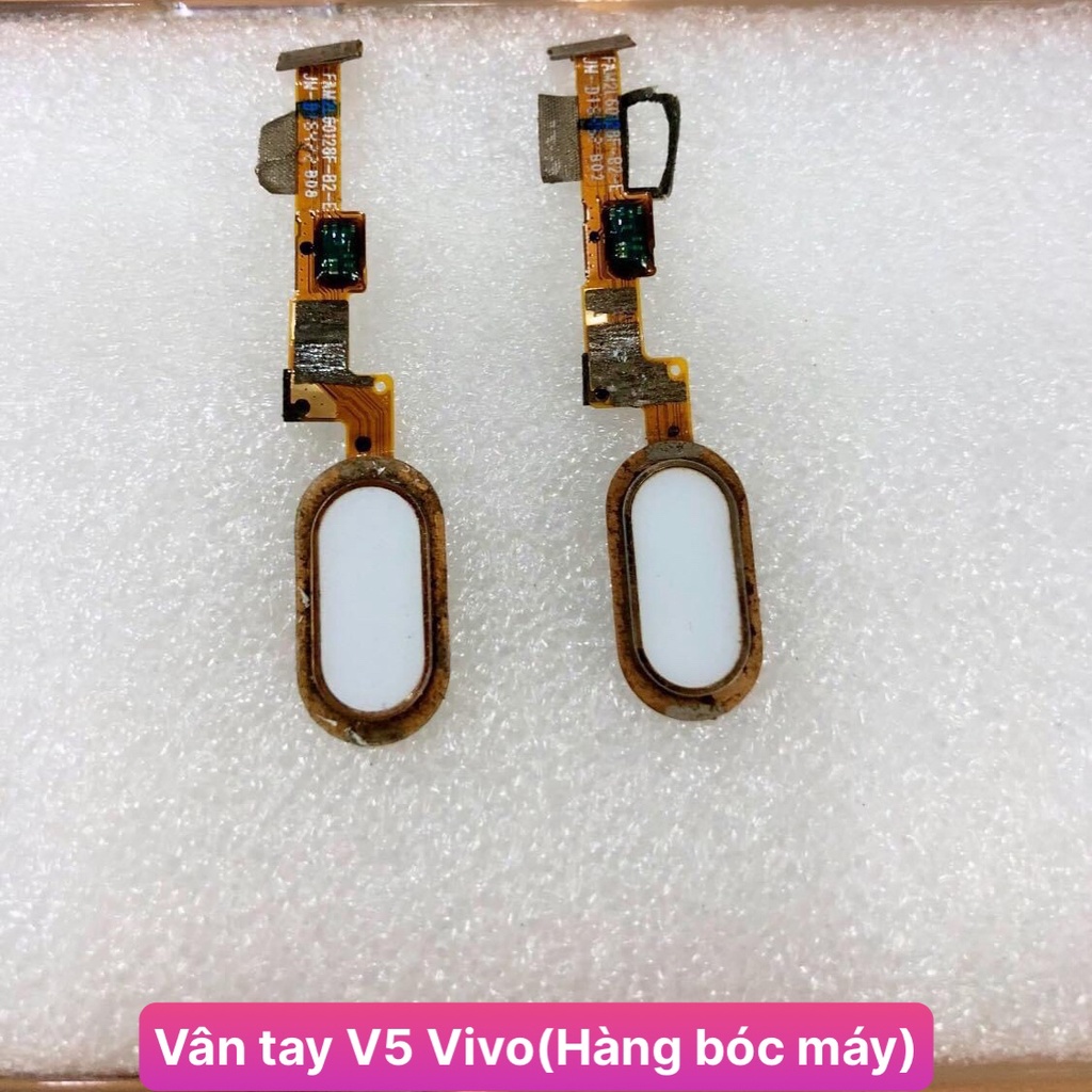 Vân tay  V5/V5s/Y67 Vivo