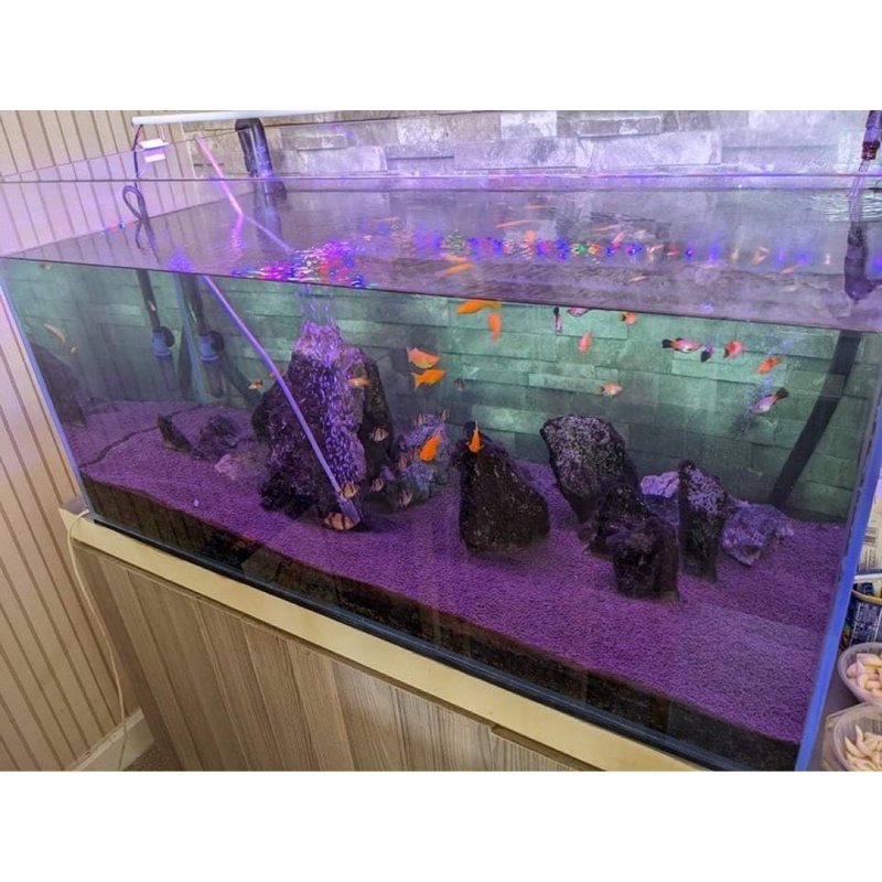 Đèn LED 6 Dãy Trắng /  3 Chế Độ Sáng 30cm,40cm,50cm,60cm,80cm,100cm,120cm,150cm | Dành cho hồ cá, hồ thuỷ sinh
