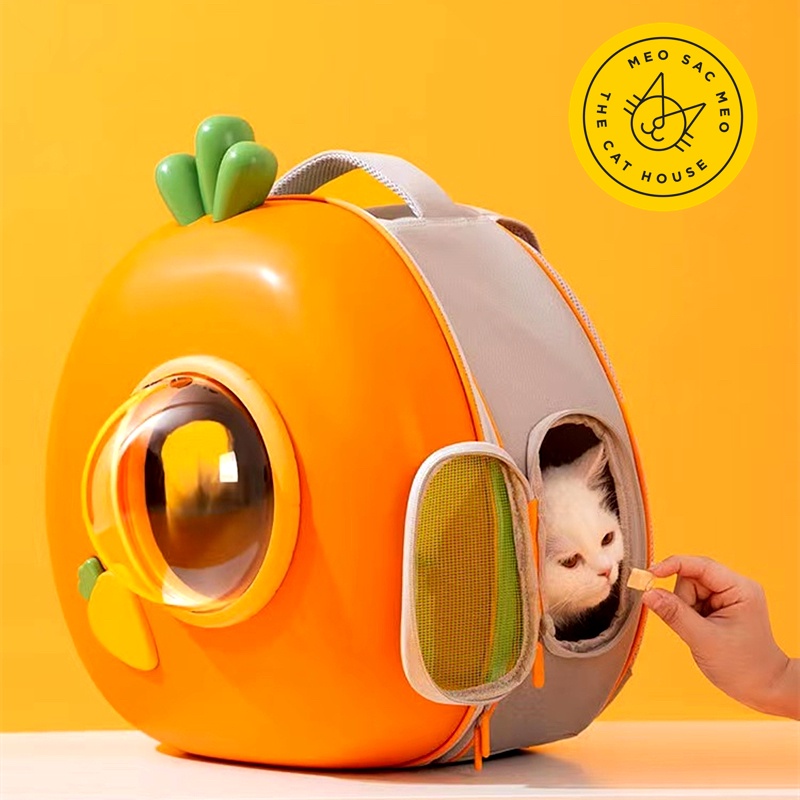 Balo hình cà rốt đáng yêu dành cho mèo