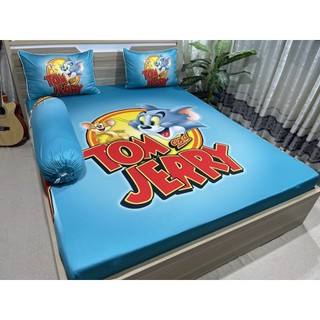Bộ drap thun lạnh ý 5d