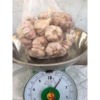 tỏi tím size lớn làm sạch 1kg