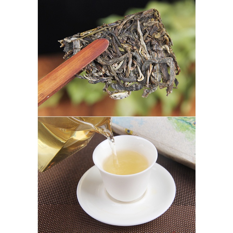 Sinh Trà Phổ Nhĩ cổ thụ- Khổng Tước Thanh Chuyên- Mãnh Hải, Vân Nam Bánh 1000 gram