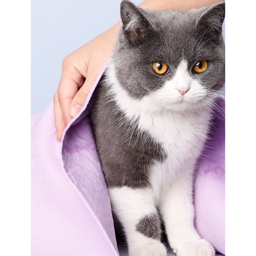 Khăn lau cho chó mèo, khăn lau kính, khăn lau ghế size lớn siêu thấm hút tương đương 2 lần khăn bông thông thường