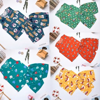 Đồ bộ bé trai vải tole,lanh cao cấp có túi