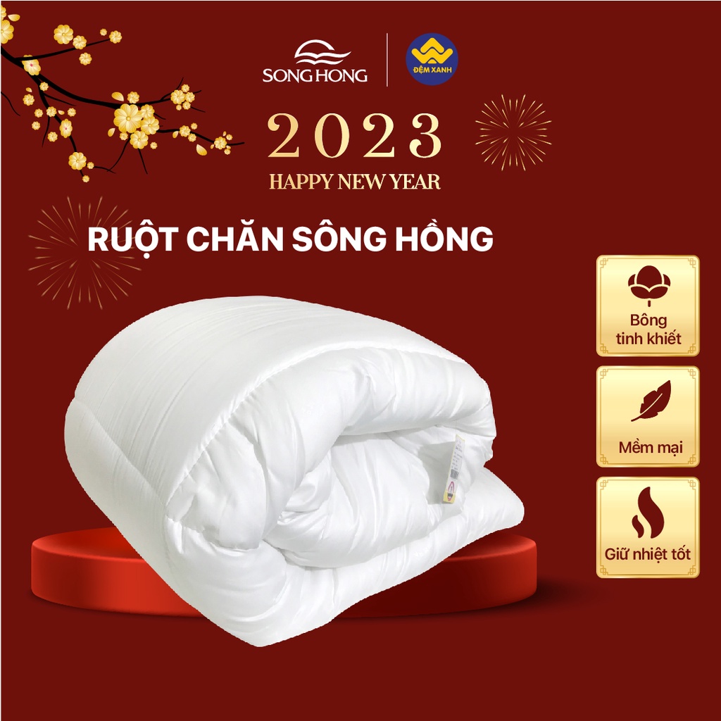 Ruột Chăn Đông Sông Hồng phân phối chính hãng tại Đệm Xanh