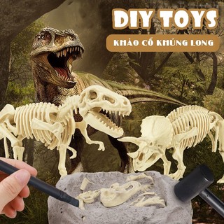 Hóa thạch khủng long, đồ chơi khảo cổ cho bé