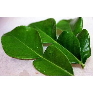 100gr Lá chanh  ( tươi)