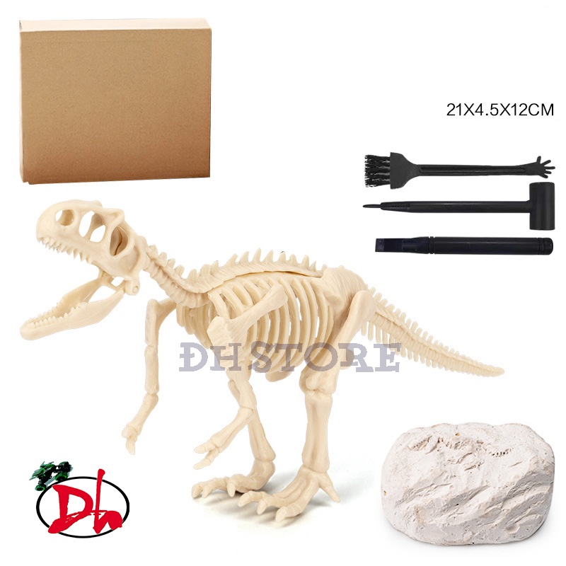 Đồ chơi khủng long khảo cổ hóa thạch-Đồ chơi mô phỏng hóa thạch khủng long cho bé
