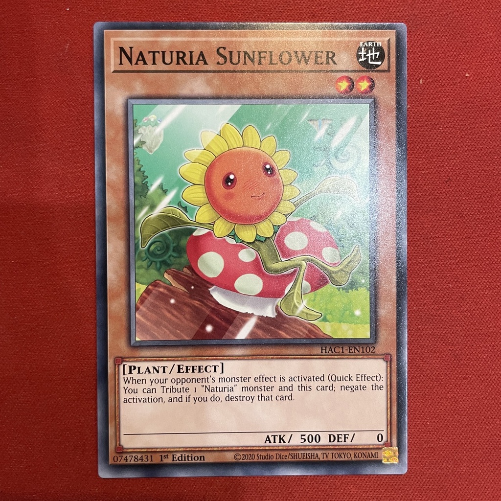 Naturia Sunflower