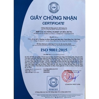Sâm tố nữ An Hòa