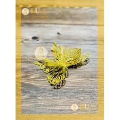 Hoa bướm kim tuyến | LU