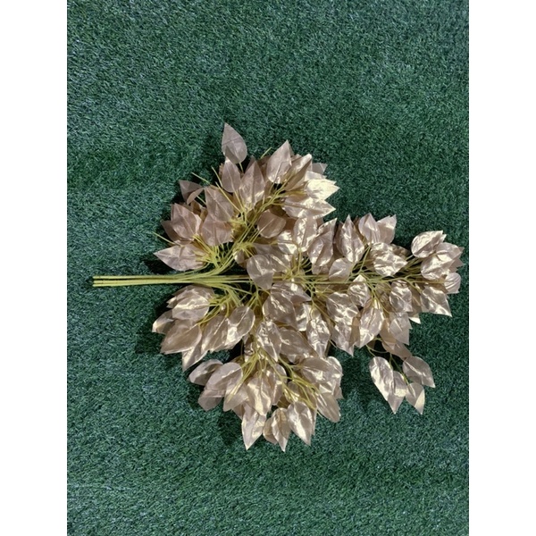 Lá cây si vàng giả