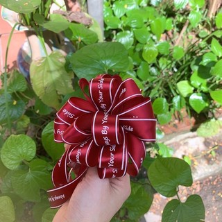 Nơ ruy băng thắt sẵn
