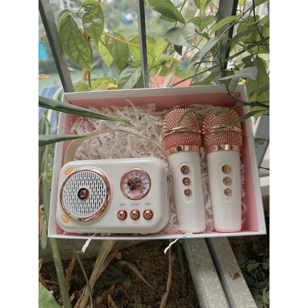 Loa bluetooth 2 MIC karaoke retro dễ thương có thể thay đổi 6 tone giọng - Một chút xinh
