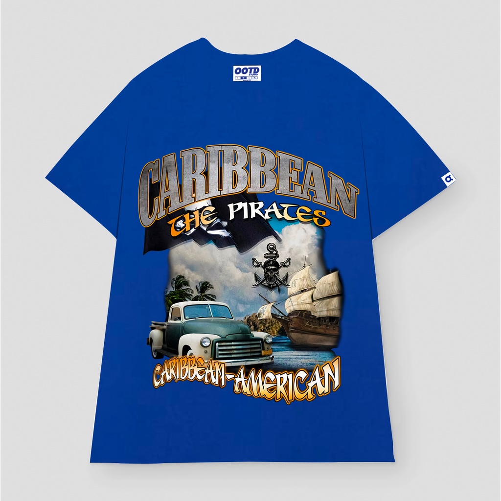 Áo thun CARIBEAN Basic Tee phông nam nữ tay lỡ