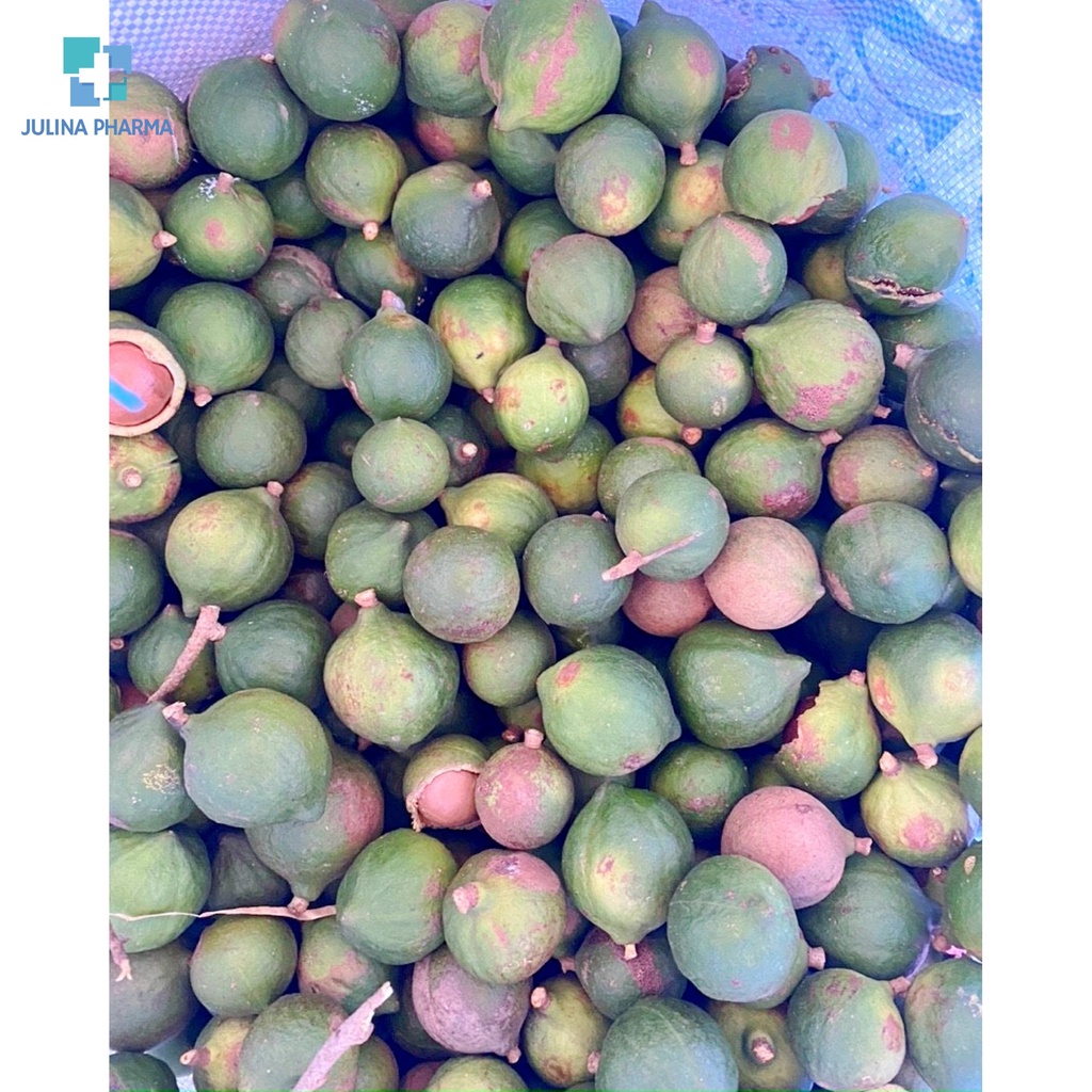 Hạt Macca sạch Lâm Đồng túi zip chân không - mắc ca sấy nứt vỏ 500g