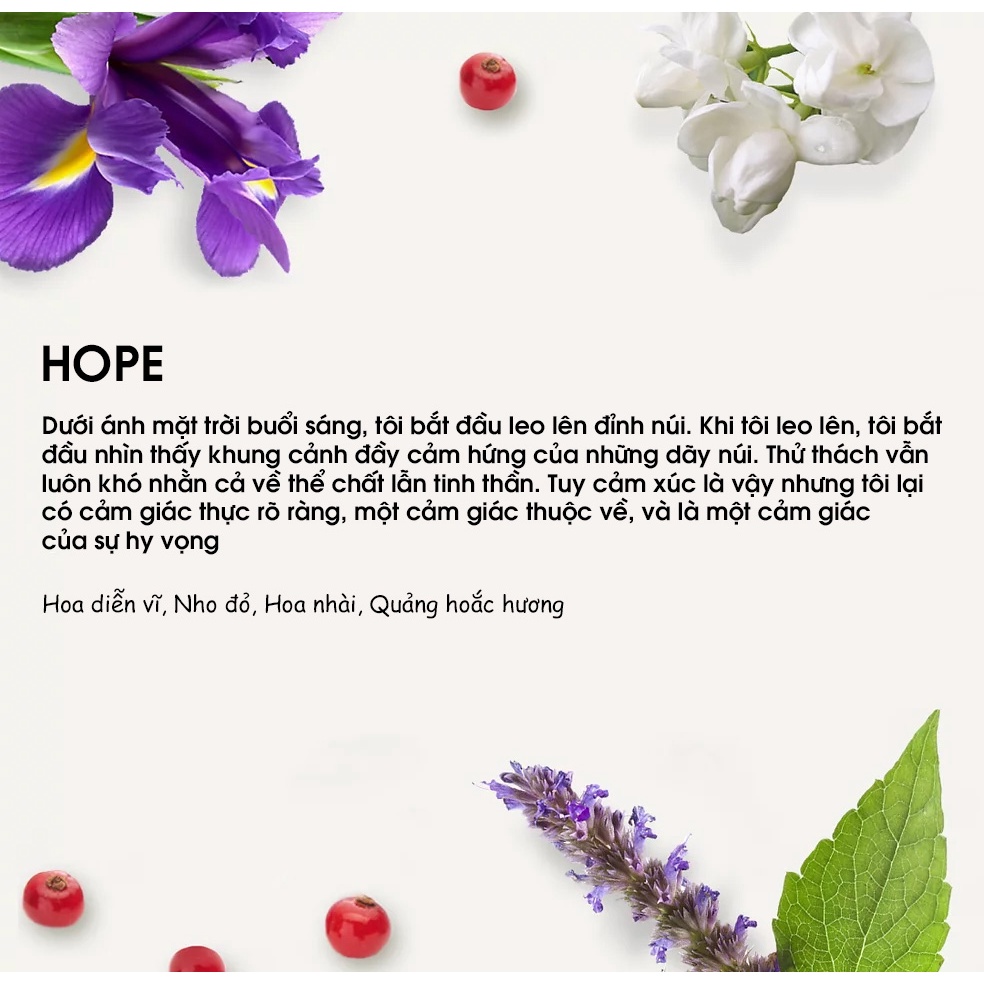 Bộ Tinh dầu treo xe oto đá núi lửa Yugen/ Mùi hương: HOPE - Yugen Vietnam
