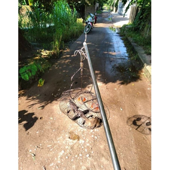 Lồng Bẫy Chào Mào Phom Sài Gòn Kèm Phụ Kiện