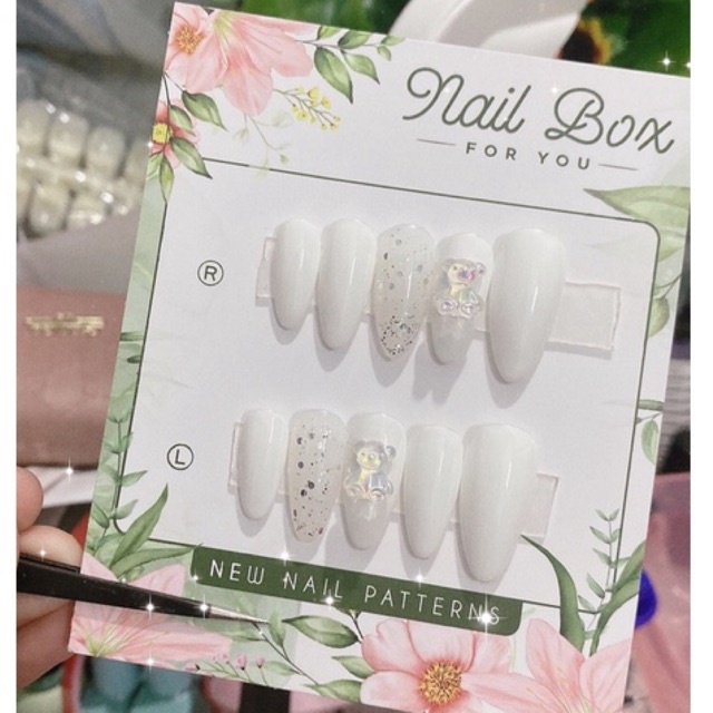 Nail Box Thiết Kế Charm Gấu - Tặng Kèm Quà
