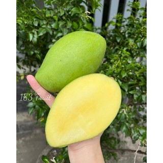 [HCM] Xoài keo 1kg