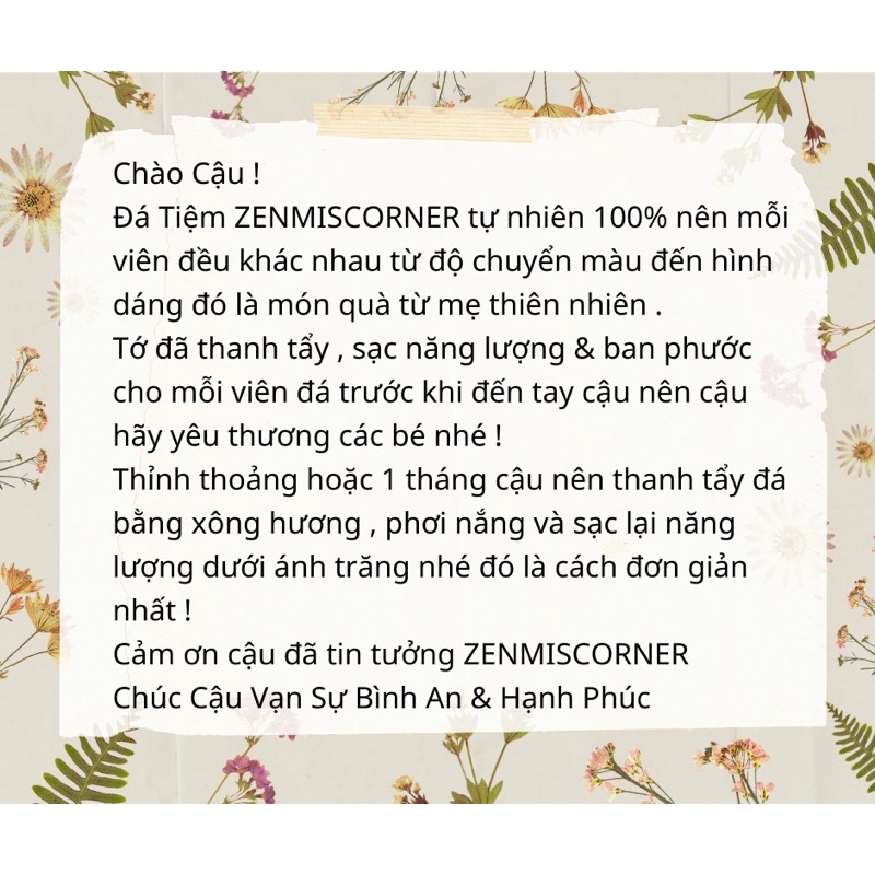 Bó Gỗ Thủy Tùng Xông Nhà