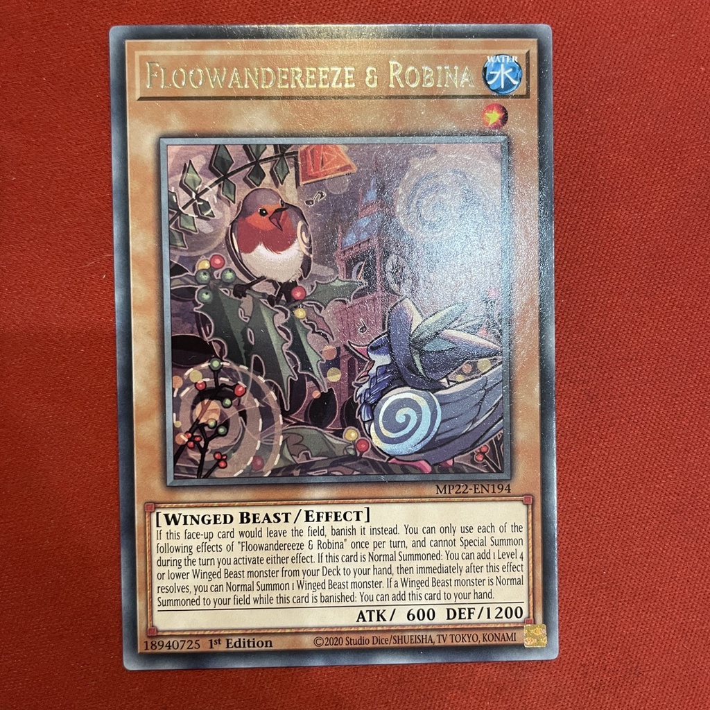 Floowandereeze & Robina