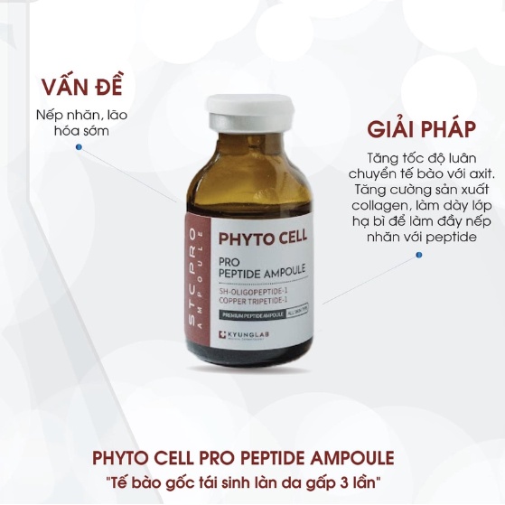 [ HÀNG CÔNG TY] Tế bào gốc KyungLab Phyto Cell Peptide Ampoule 20ml