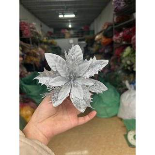 bông Trạng nguyên cao cấp.