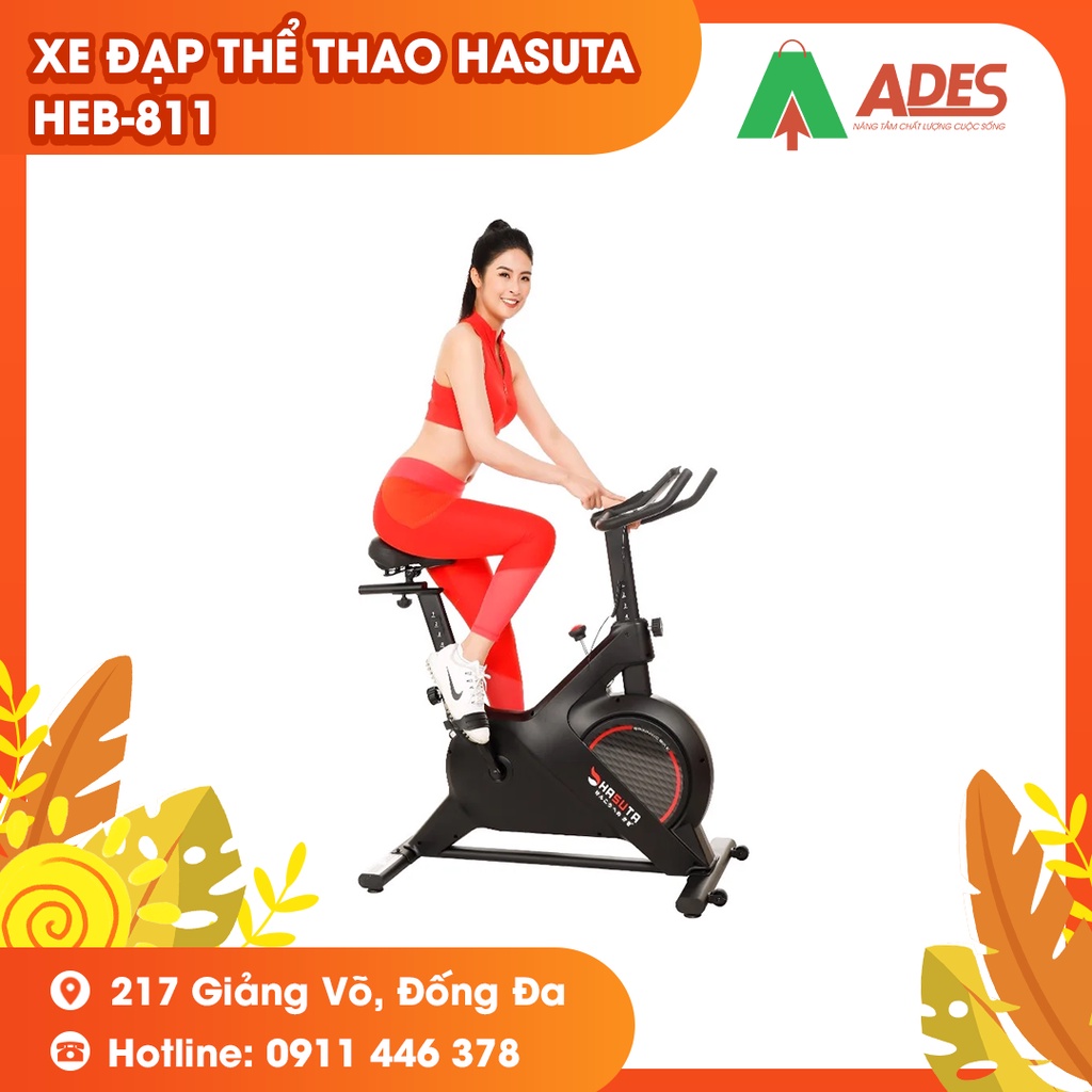 Xe Đạp Tập Thể Dục HEB-811