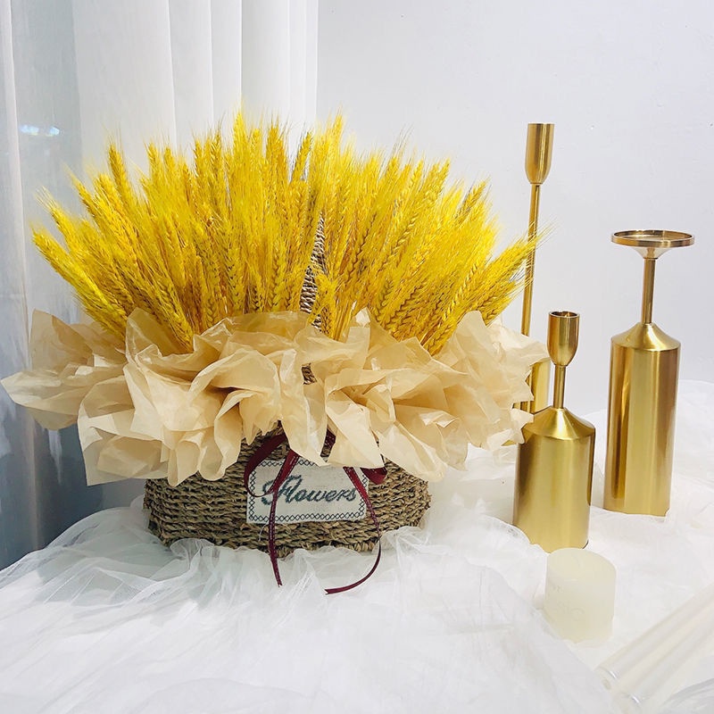100 Bông lúa mạch vàng ,chụp ảnh hoặc trang trí nhà cửa, Bông Lúa Mạch Khô Decor Trang Trí