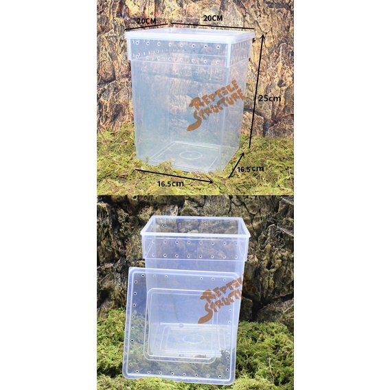 (MD38) Hộp nuôi nhện cây, ếch, bọ ngựa, Crested Gecko.... kích thước 20x20x25