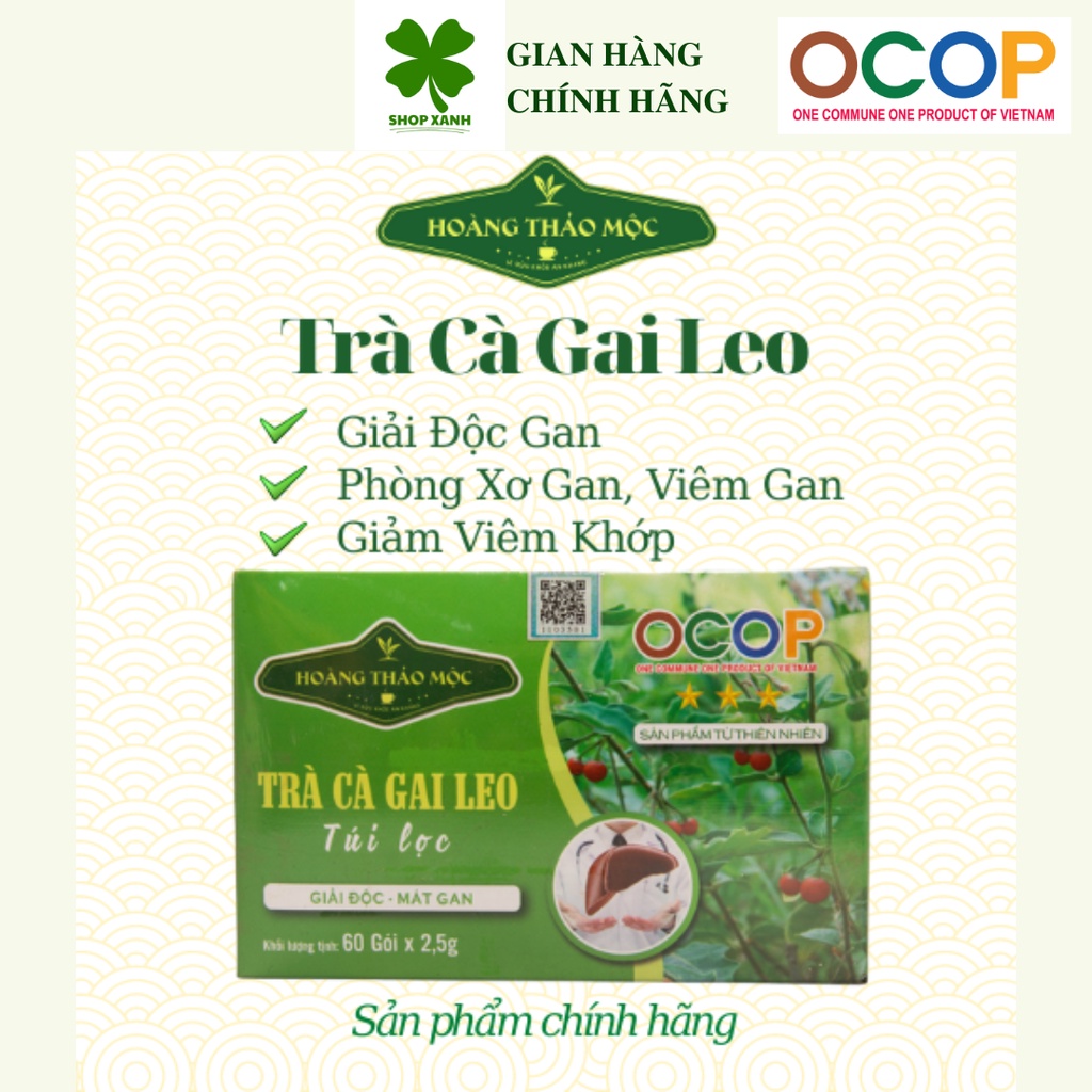 Trà cà gai leo túi lọc Hoàng Thảo Mộc 150g/hộp (hộp 60 túi, 2,5g/túi)