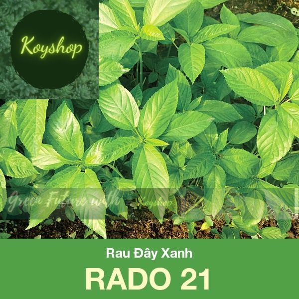 Hạt Giống Rau Đay Xanh Rado 21 -- Rado Seeds - Giá sỉ tốt hơn!