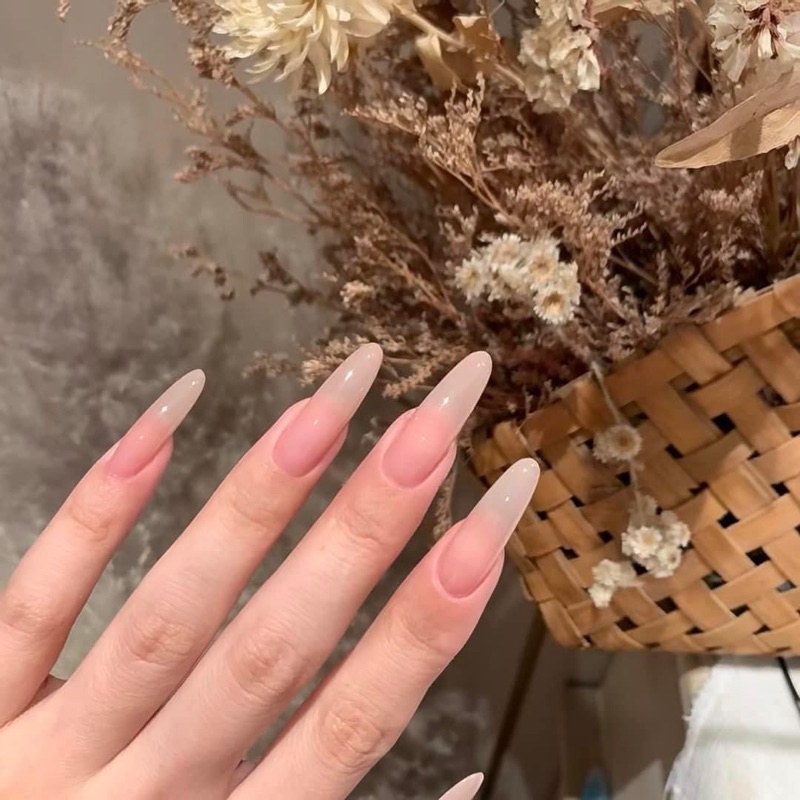 Sơn Gel thạch nude mã 05 - TT19