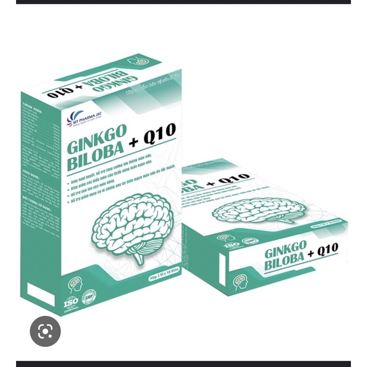 GINKO BILOBA+Q10