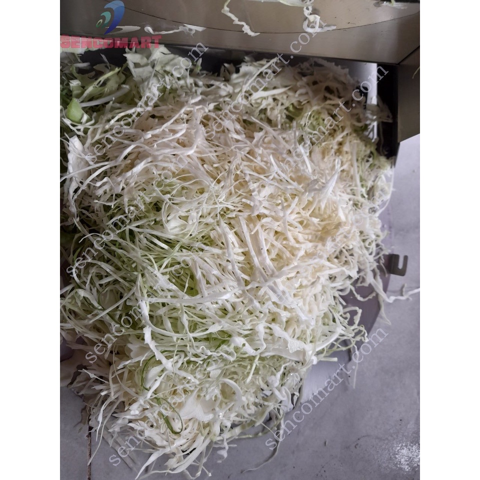 Bán máy thái bắp cải làm nộm salad sợi siêu đẹp tại Hà Nội