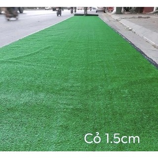 combo 5m2, 4m2, 3m2 thảm cỏ trải sàn