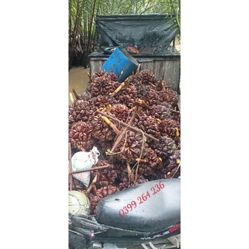 1Kg Cơm Dừa Nước Miền Tây Thơm Ngon