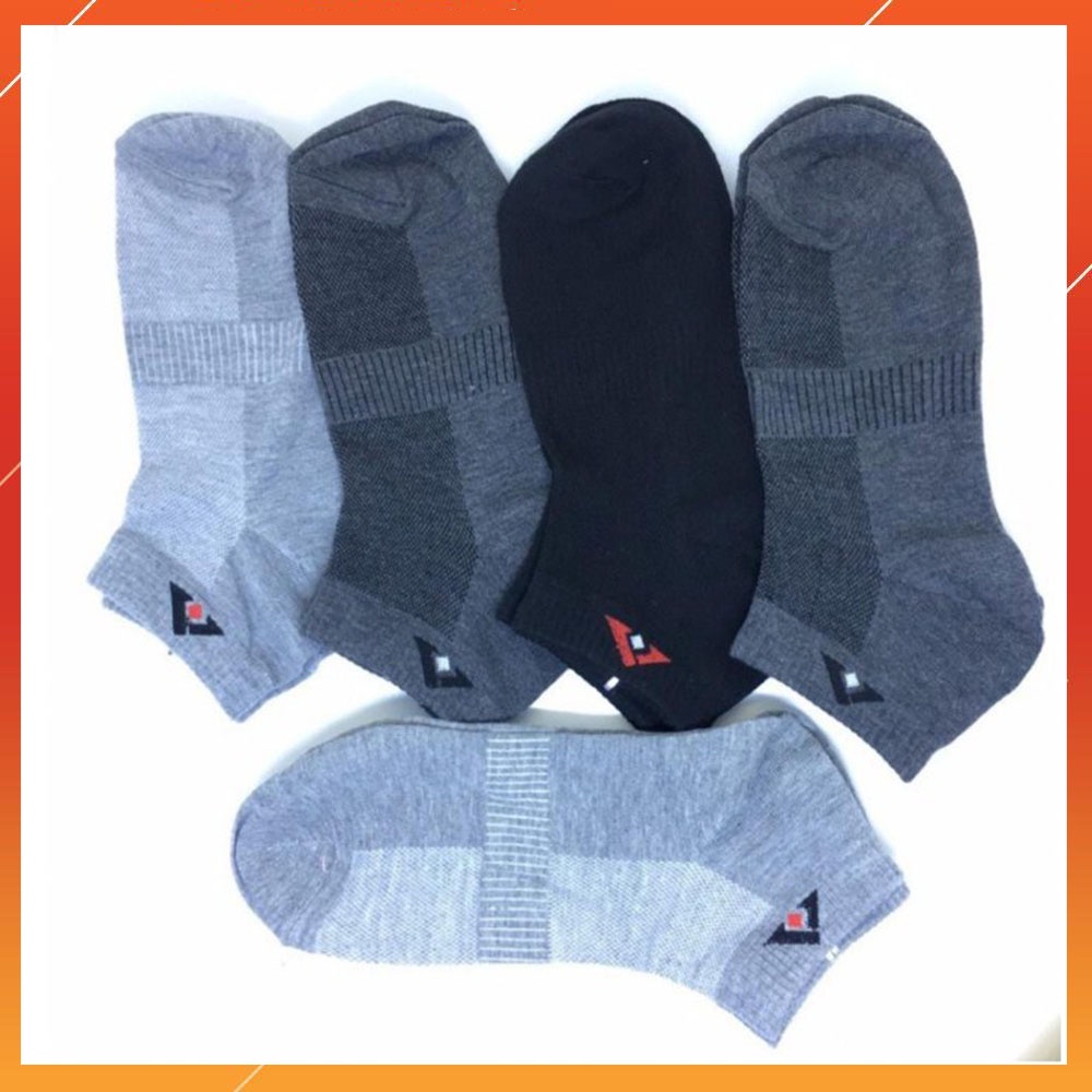 [LỐ 5 đôi] Tất Vớ Ngắn Vải Thông Hơi Kháng Khuẩn Chống Mùi Hôi Nhiều Màu Basic TATNAM08