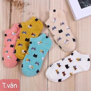 sét 5 đôi tất Mèo nữ
