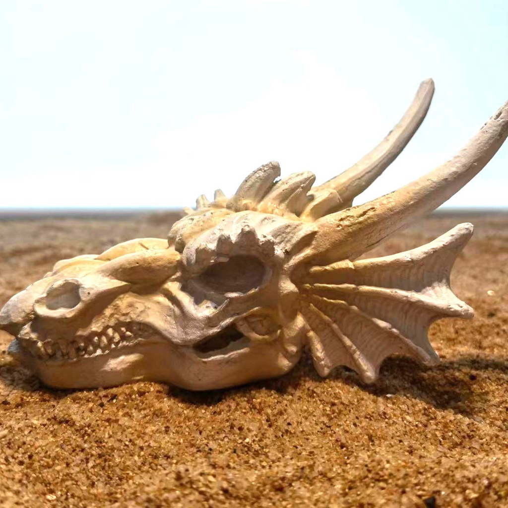 Mô HìNh ĐầU Lâu KhủNg Long Trang Trí Bể Cá