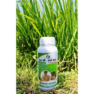 PHÂN BÓN RA RỄ NỞ BỤI CHUYÊN LÚA 500ML