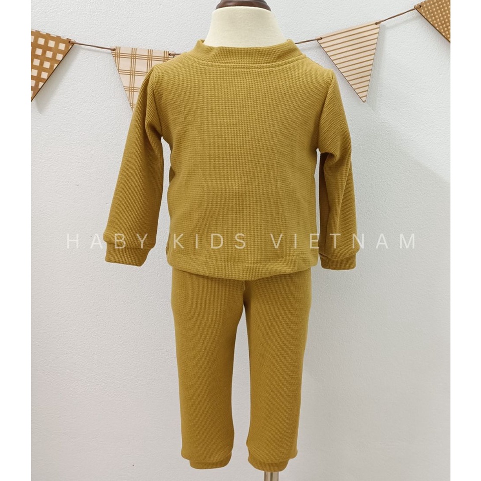 Bộ đồ thu đông dài tay chất tổ ong cao cấp HABY KIDS