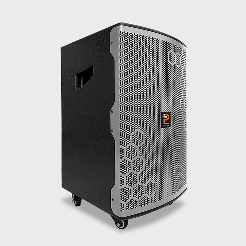 Loa kéo di động Prosing W12 Bee