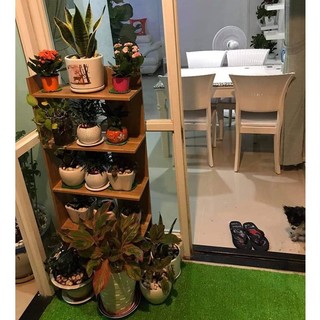 Kệ gỗ 5 tầng mới nhất