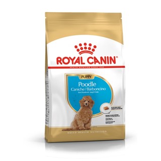 Thức ăn hạt chó Royal Canin Poodle puppy chó con 1,5kg