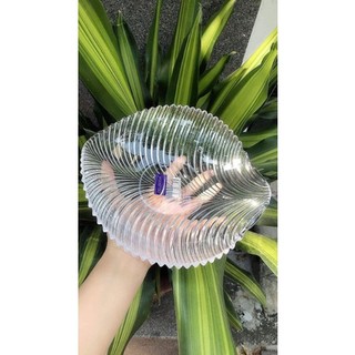 ĐĨA THUỶ TINH HÌNH CHIẾC LÁ