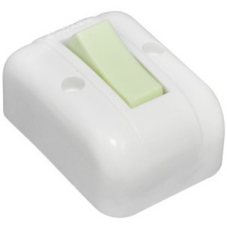 Công tắc đơn kiểu thái 10A - 250V