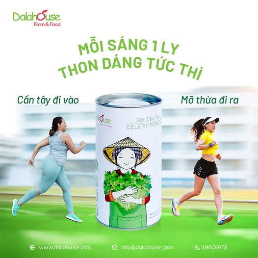 Bột CẦN TÂY Dalahouse sấy lạnh nguyên chất 100% Organic, Hộp 20 gói