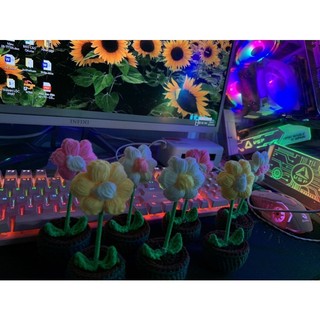 chậu hoa len mini